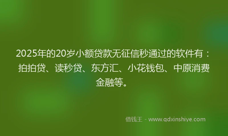 2025年的20岁小额贷款无征信秒通过的软件有：拍拍贷、读秒贷、东方汇、小花钱包、中原消费金融等。