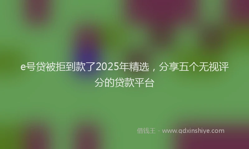 e号贷被拒到款了2025年精选，分享五个无视评分的贷款平台