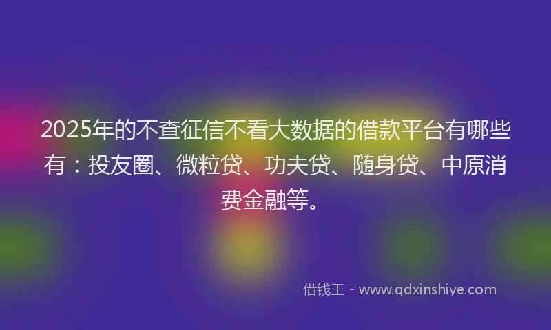 2025年的不查征信不看大数据的借款平台有哪些有：投友圈、微粒贷、功夫贷、随身贷、中原消费金融等。