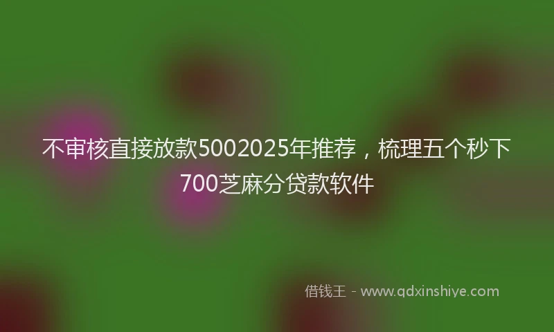 不审核直接放款5002025年推荐，梳理五个秒下700芝麻分贷款软件