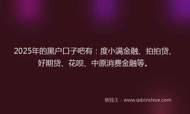 2025年的黑户口子吧有：度小满金融、拍拍贷、好期贷、花呗、中原消费金融等。