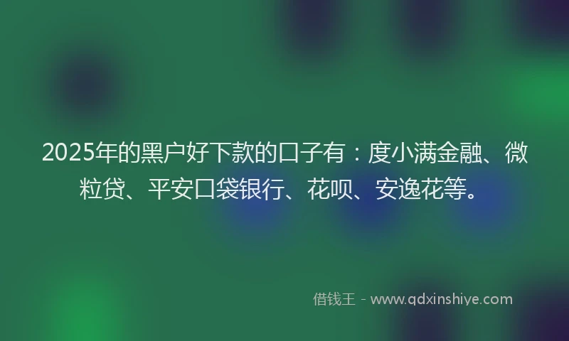 2025年的黑户好下款的口子有：度小满金融、微粒贷、平安口袋银行、花呗、安逸花等。
