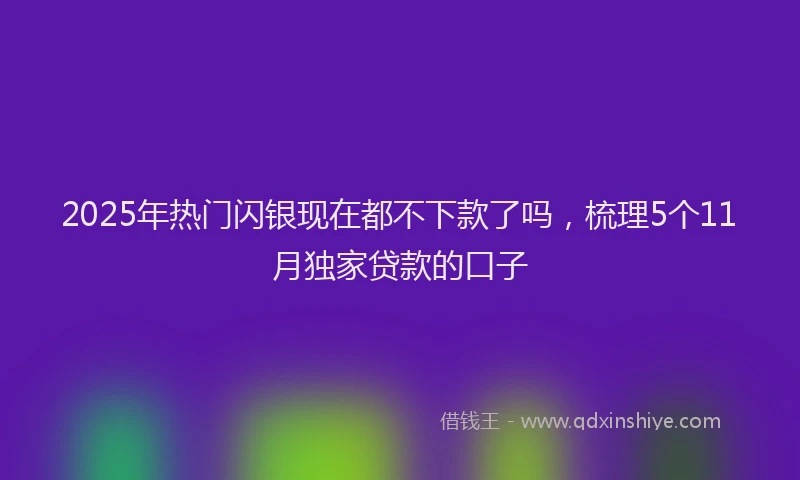 2025年热门闪银现在都不下款了吗，梳理5个11月独家贷款的口子
