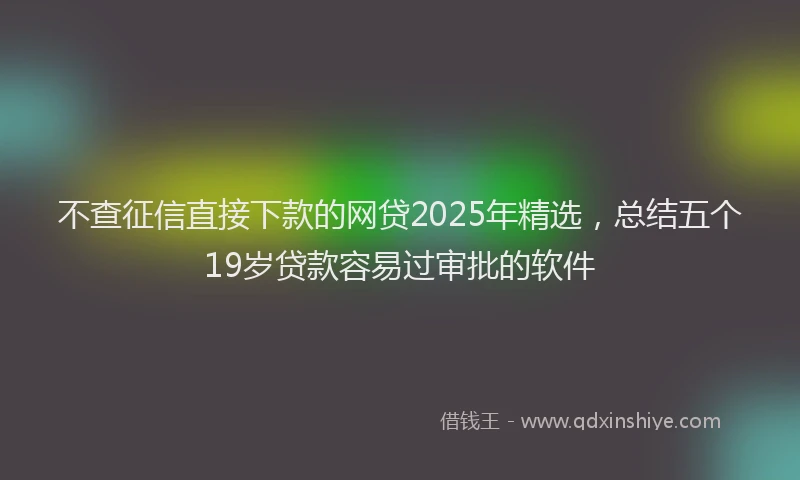 不查征信直接下款的网贷2025年精选，总结五个19岁贷款容易过审批的软件