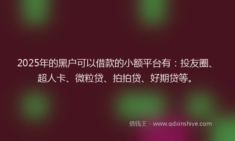 2025年的黑户可以借款的小额平台有：投友圈、超人卡、微粒贷、拍拍贷、好期贷等。