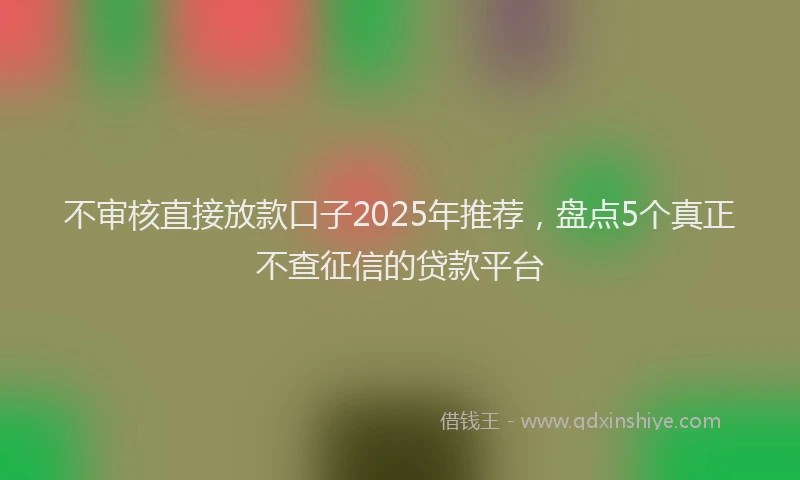 不审核直接放款口子2025年推荐，盘点5个真正不查征信的贷款平台
