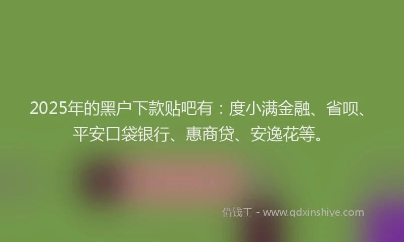 2025年的黑户下款贴吧有：度小满金融、省呗、平安口袋银行、惠商贷、安逸花等。