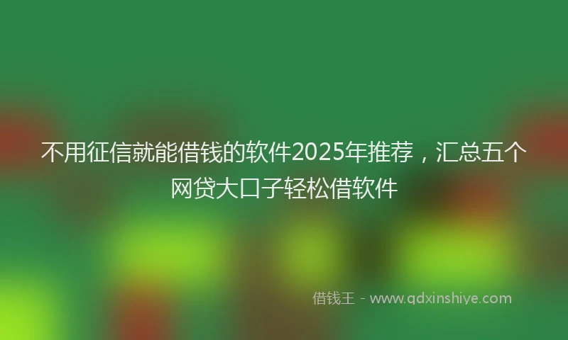 不用征信就能借钱的软件2025年推荐，汇总五个网贷大口子轻松借软件