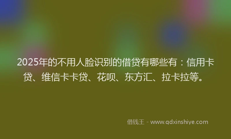 2025年的不用人脸识别的借贷有哪些有：信用卡贷、维信卡卡贷、花呗、东方汇、拉卡拉等。