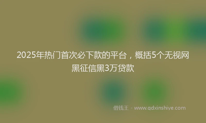 2025年热门首次必下款的平台，概括5个无视网黑征信黑3万贷款