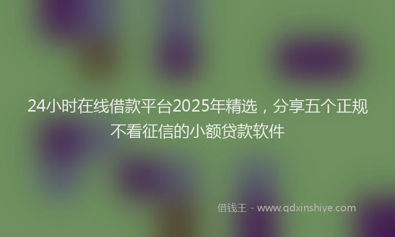 24小时在线借款平台2025年精选，分享五个正规不看征信的小额贷款软件