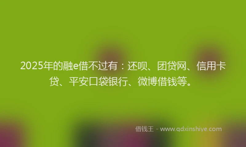 2025年的融e借不过有：还呗、团贷网、信用卡贷、平安口袋银行、微博借钱等。