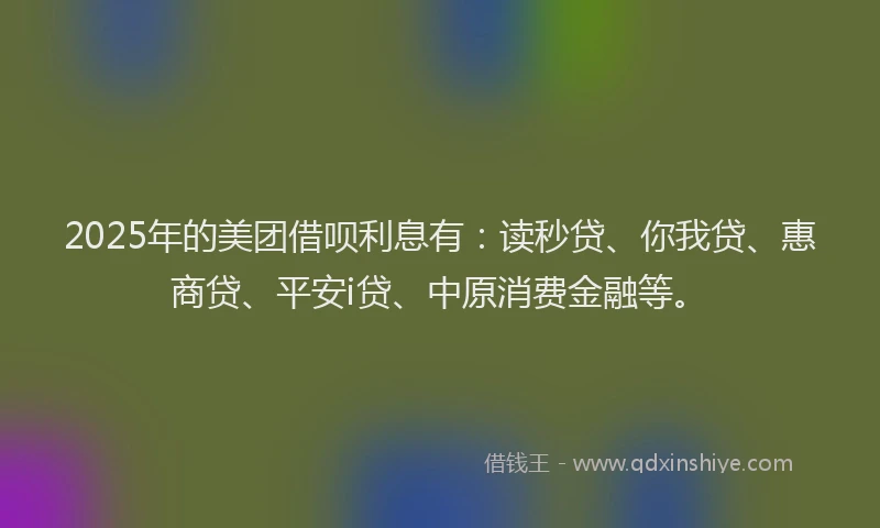 2025年的美团借呗利息有：读秒贷、你我贷、惠商贷、平安i贷、中原消费金融等。
