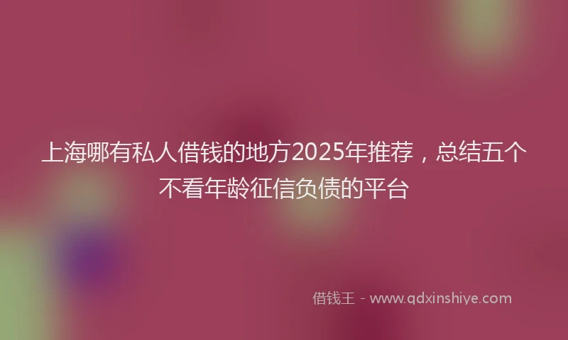 上海哪有私人借钱的地方2025年推荐，总结五个不看年龄征信负债的平台