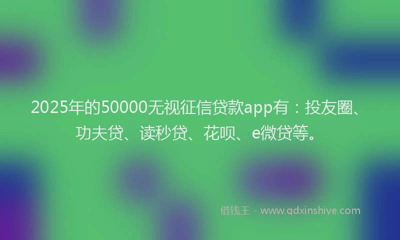 2025年的50000无视征信贷款app有：投友圈、功夫贷、读秒贷、花呗、e微贷等。