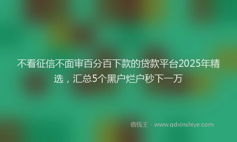 不看征信不面审百分百下款的贷款平台2025年精选，汇总5个黑户烂户秒下一万