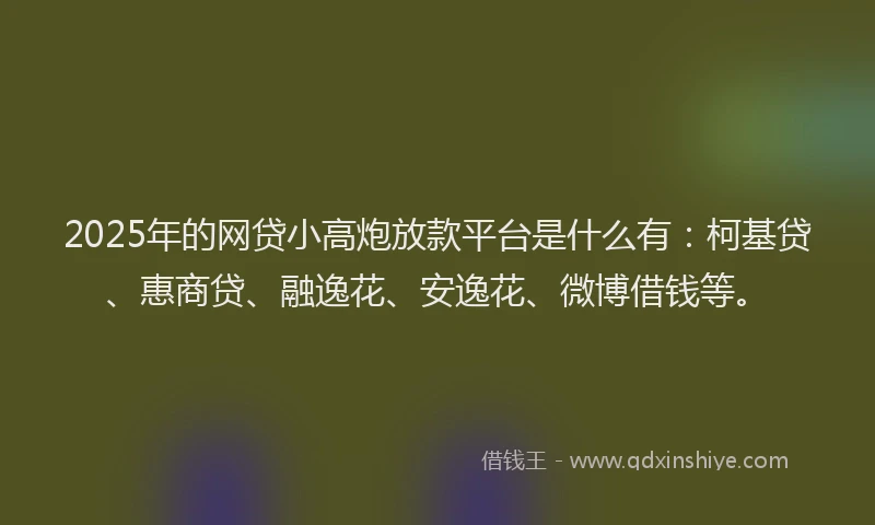 2025年的网贷小高炮放款平台是什么有：柯基贷、惠商贷、融逸花、安逸花、微博借钱等。