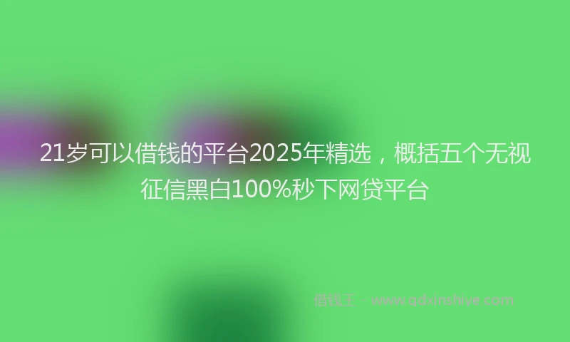 21岁可以借钱的平台2025年精选，概括五个无视征信黑白100%秒下网贷平台