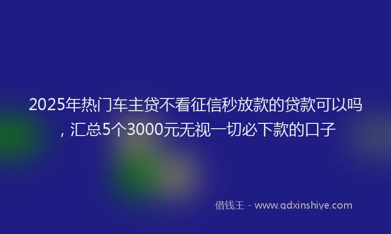 2025年热门车主贷不看征信秒放款的贷款可以吗，汇总5个3000元无视一切必下款的口子