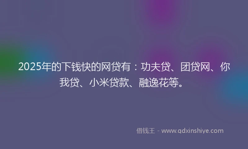 2025年的下钱快的网贷有：功夫贷、团贷网、你我贷、小米贷款、融逸花等。