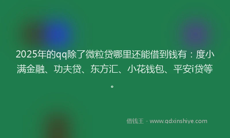 2025年的qq除了微粒贷哪里还能借到钱有：度小满金融、功夫贷、东方汇、小花钱包、平安i贷等。