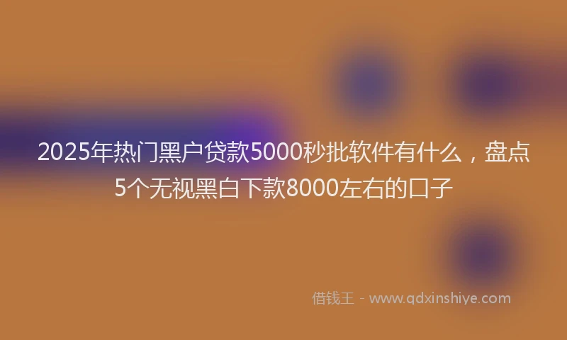 2025年热门黑户贷款5000秒批软件有什么，盘点5个无视黑白下款8000左右的口子