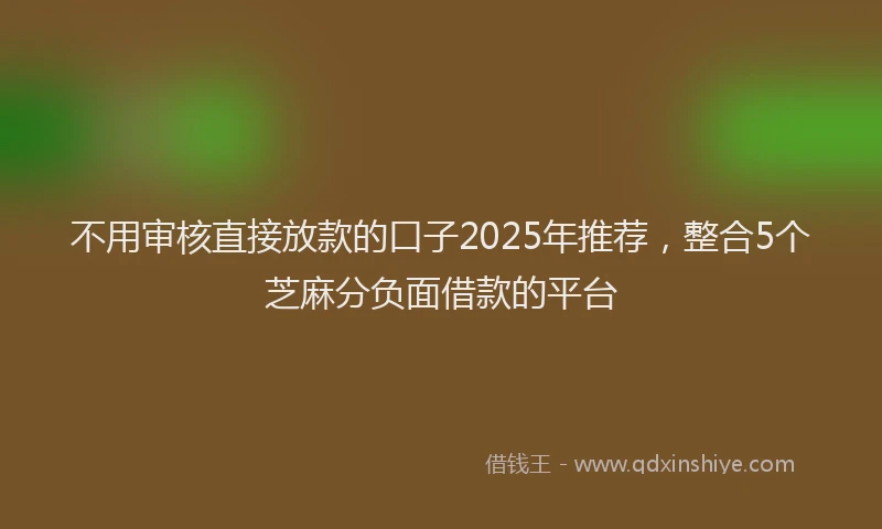 不用审核直接放款的口子2025年推荐，整合5个芝麻分负面借款的平台
