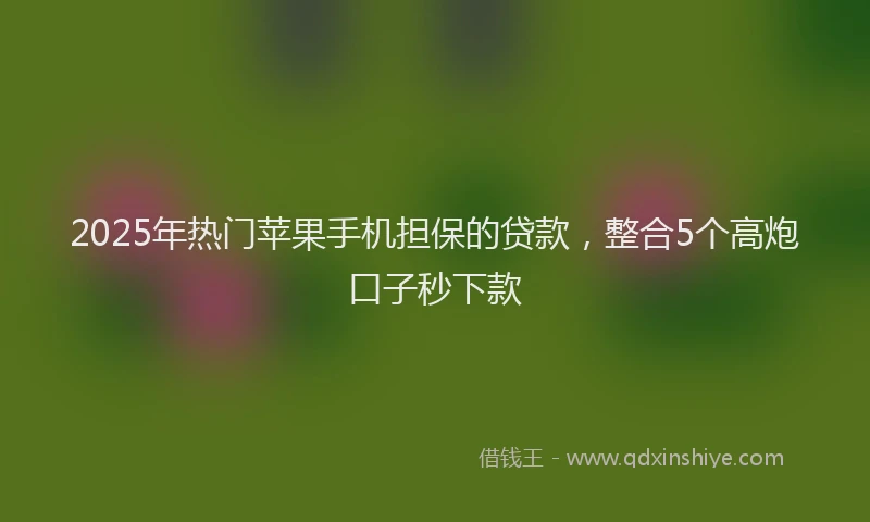 2025年热门苹果手机担保的贷款，整合5个高炮口子秒下款