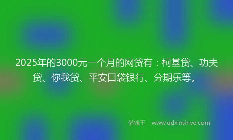 2025年的3000元一个月的网贷有：柯基贷、功夫贷、你我贷、平安口袋银行、分期乐等。