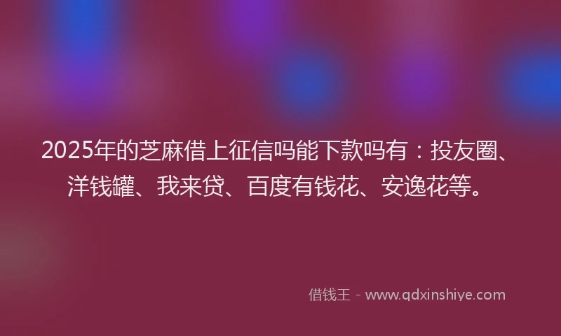 2025年的芝麻借上征信吗能下款吗有：投友圈、洋钱罐、我来贷、百度有钱花、安逸花等。