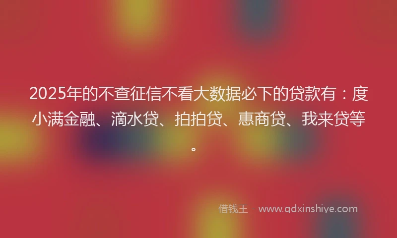 2025年的不查征信不看大数据必下的贷款有：度小满金融、滴水贷、拍拍贷、惠商贷、我来贷等。