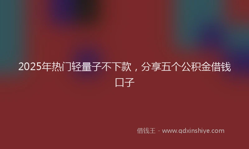 2025年热门轻量子不下款，分享五个公积金借钱口子