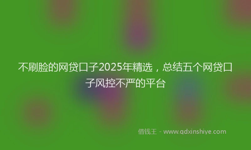 不刷脸的网贷口子2025年精选，总结五个网贷口子风控不严的平台