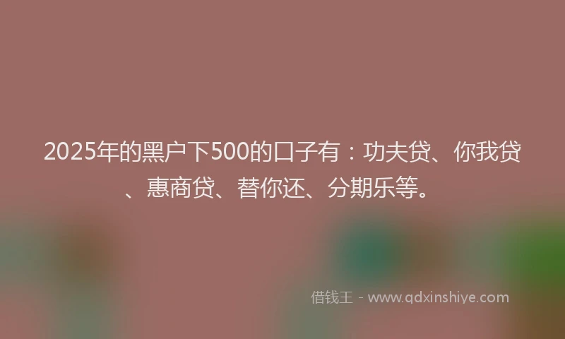 2025年的黑户下500的口子有：功夫贷、你我贷、惠商贷、替你还、分期乐等。