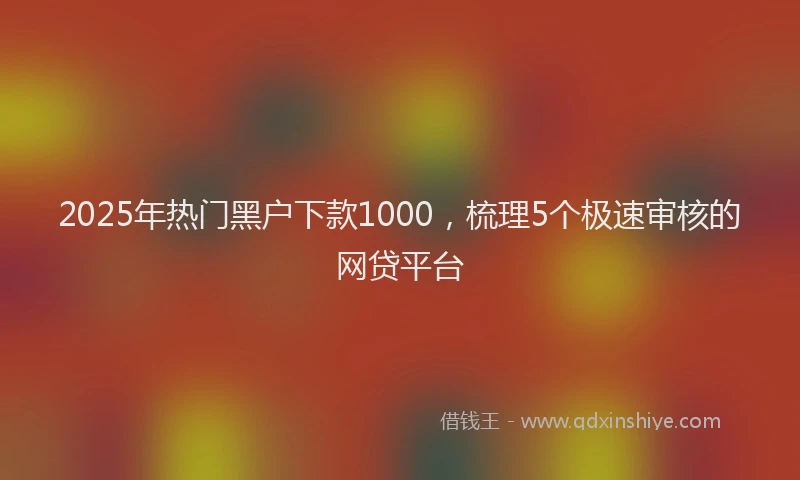 2025年热门黑户下款1000，梳理5个极速审核的网贷平台