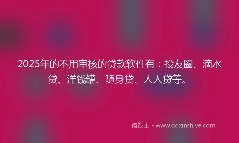 2025年的不用审核的贷款软件有：投友圈、滴水贷、洋钱罐、随身贷、人人贷等。