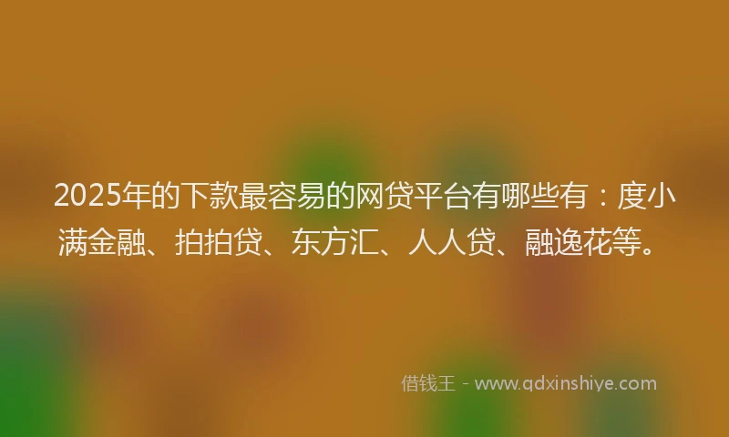 2025年的下款最容易的网贷平台有哪些有：度小满金融、拍拍贷、东方汇、人人贷、融逸花等。