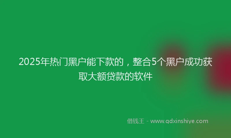2025年热门黑户能下款的，整合5个黑户成功获取大额贷款的软件