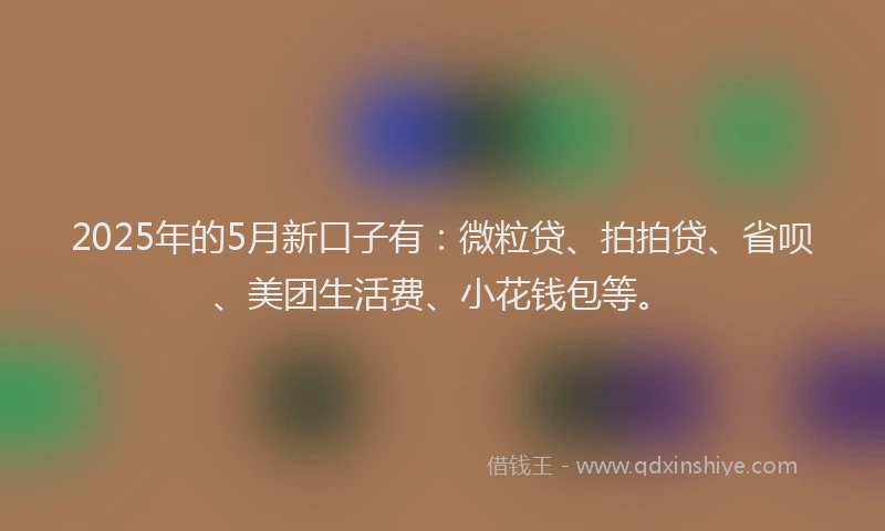 2025年的5月新口子有：微粒贷、拍拍贷、省呗、美团生活费、小花钱包等。