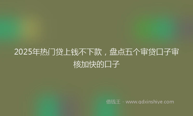 2025年热门贷上钱不下款，盘点五个审贷口子审核加快的口子