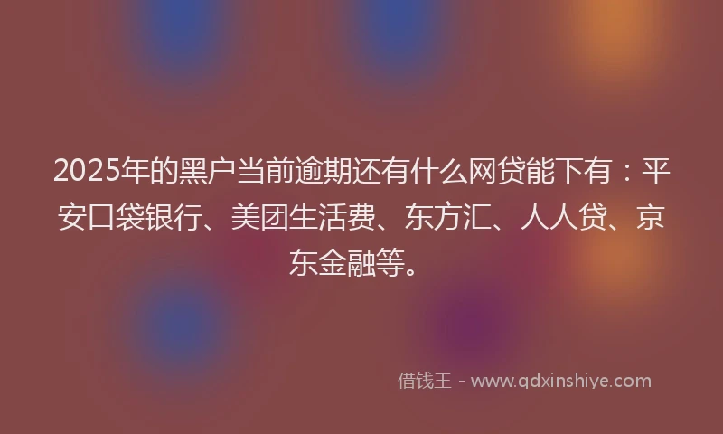 2025年的黑户当前逾期还有什么网贷能下有：平安口袋银行、美团生活费、东方汇、人人贷、京东金融等。