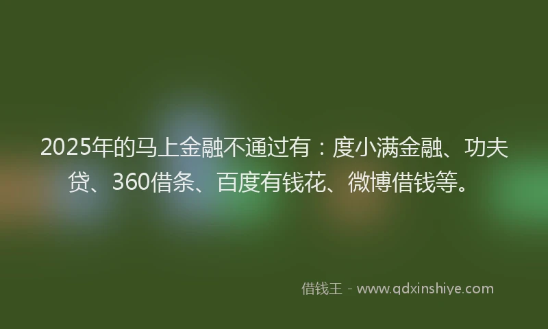 2025年的马上金融不通过有：度小满金融、功夫贷、360借条、百度有钱花、微博借钱等。