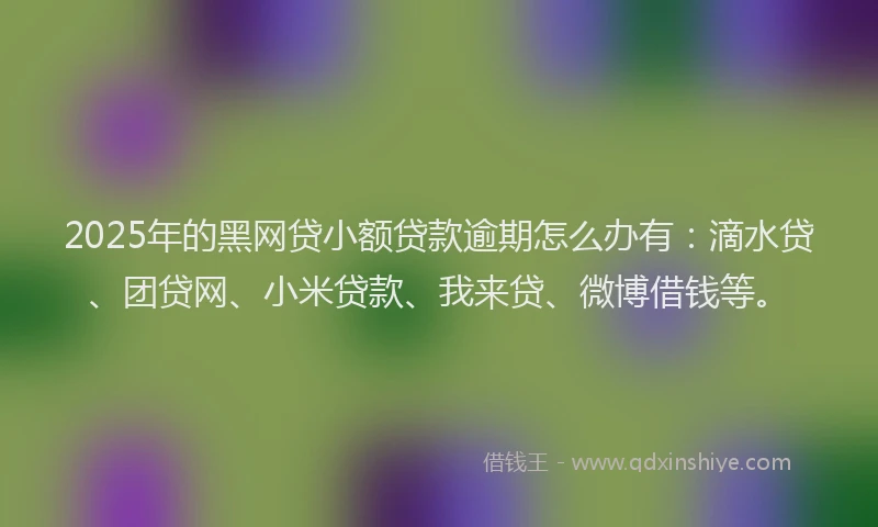 2025年的黑网贷小额贷款逾期怎么办有：滴水贷、团贷网、小米贷款、我来贷、微博借钱等。