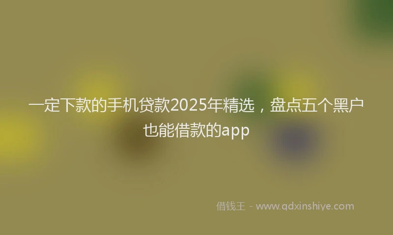 一定下款的手机贷款2025年精选，盘点五个黑户也能借款的app