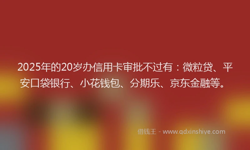 2025年的20岁办信用卡审批不过有：微粒贷、平安口袋银行、小花钱包、分期乐、京东金融等。