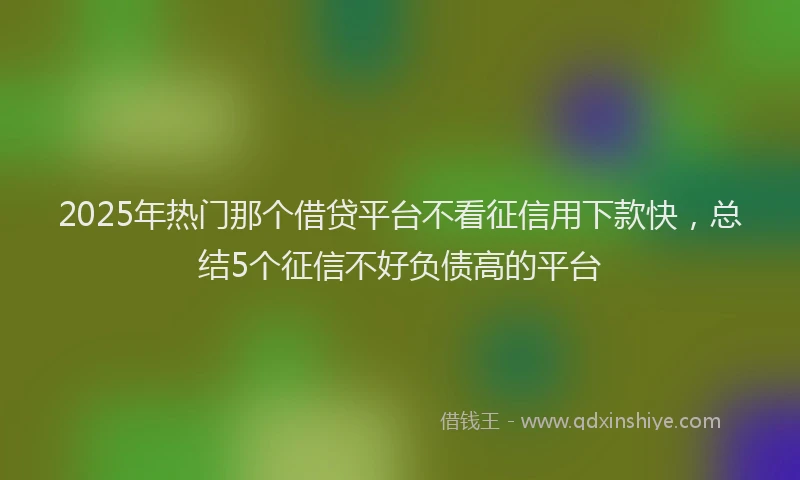 2025年热门那个借贷平台不看征信用下款快，总结5个征信不好负债高的平台