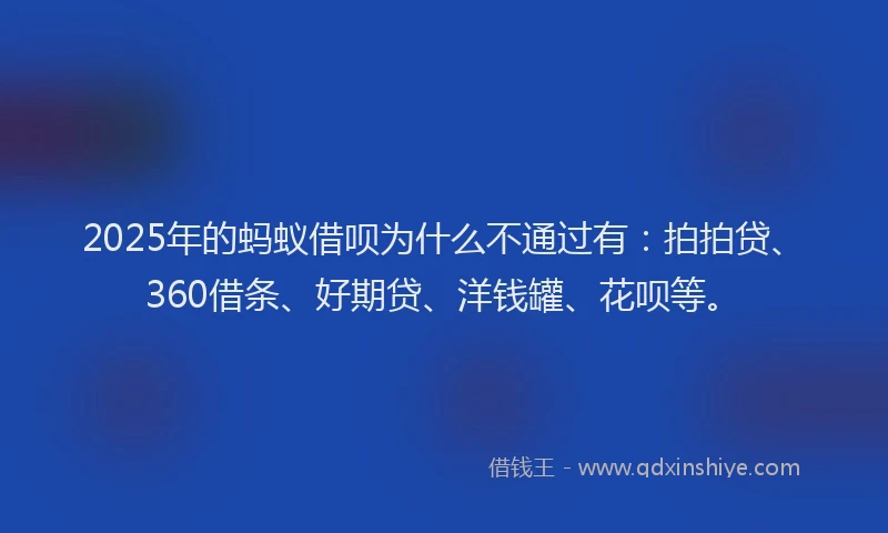 2025年的蚂蚁借呗为什么不通过有：拍拍贷、360借条、好期贷、洋钱罐、花呗等。