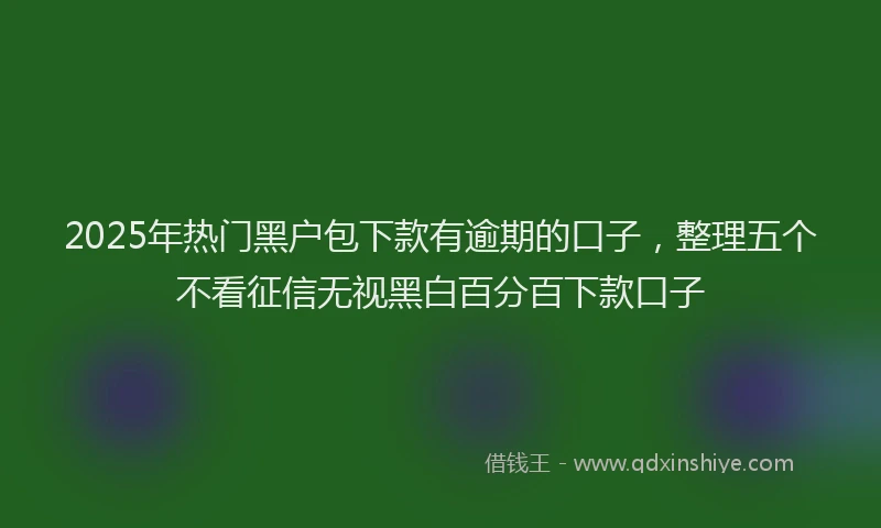 2025年热门黑户包下款有逾期的口子，整理五个不看征信无视黑白百分百下款口子