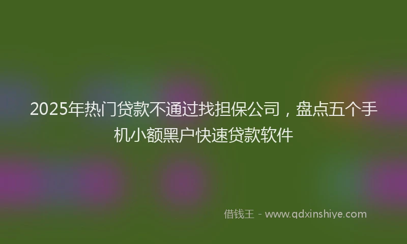 2025年热门贷款不通过找担保公司，盘点五个手机小额黑户快速贷款软件