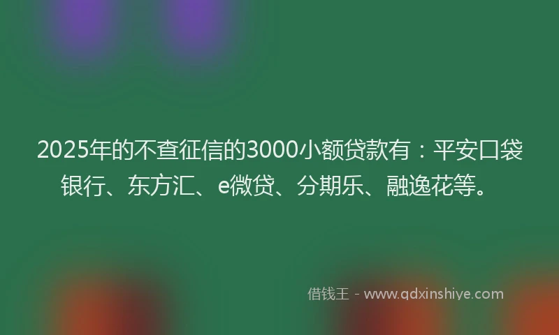 2025年的不查征信的3000小额贷款有：平安口袋银行、东方汇、e微贷、分期乐、融逸花等。